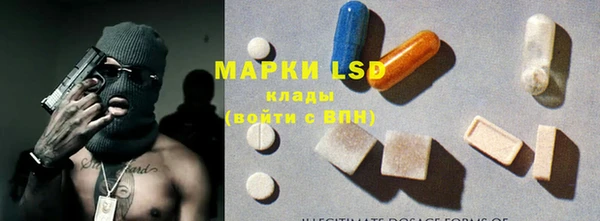 прущие грибы Баксан