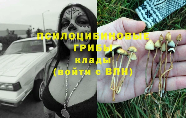 прущие грибы Баксан