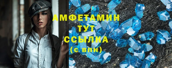 прущие грибы Баксан