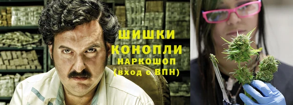 прущие грибы Баксан