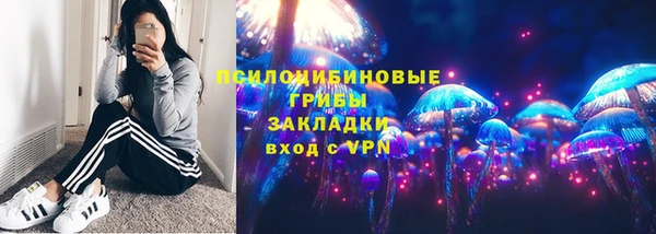 прущие грибы Баксан