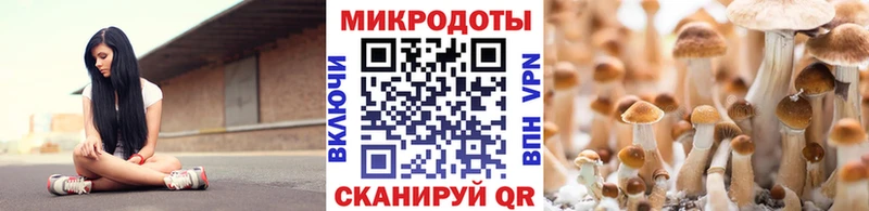 Галлюциногенные грибы мухоморы  Красный Холм 